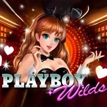 Casino Webcam SLOT JILI Login